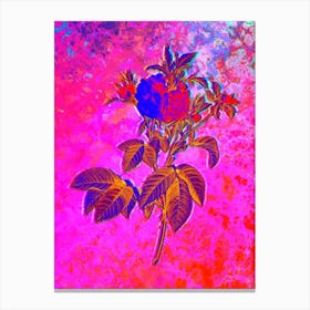 Pink Agatha Rose Botanical in Acid Neon Pink Green and Blue n.0184 Canvas Print