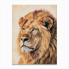 Barbary Lion Portrait Close Up Illustration 1 Canvas Print