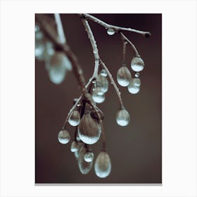 Dripping Leafs Canvas Print