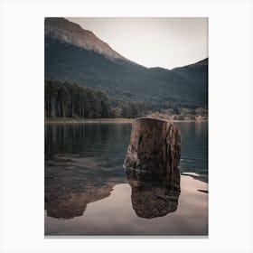 Tree Stump In Lake Canvas Print