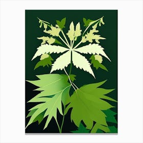 Meadowsweet Leaf Vibrant Inspired 2 Canvas Print