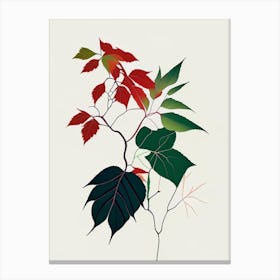 Poison Oak Minimal Line Drawing 3 Canvas Print