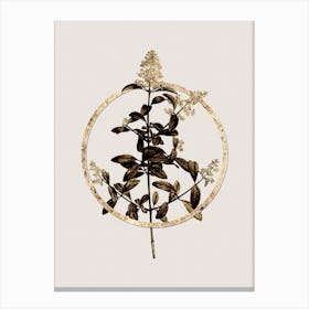 Gold Ring Wild Privet Glitter Botanical Illustration n.0183 Canvas Print