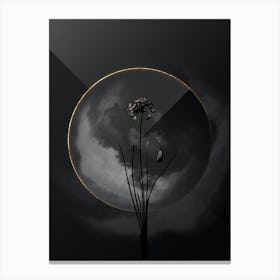Shadowy Vintage Autumn Onion Botanical in Black and Gold n.0179 Canvas Print