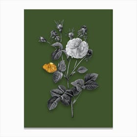 Vintage Pink Agatha Rose Black and White Gold Leaf Floral Art on Olive Green n.0430 Canvas Print