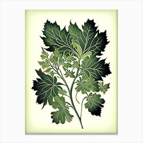 Lovage Leaf Vintage Botanical 3 Canvas Print