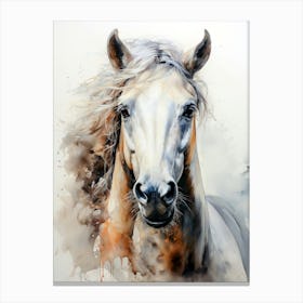 White Horse Canvas Print