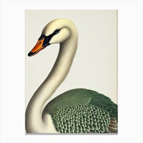 Swan James Audubon Vintage Style Bird Canvas Print