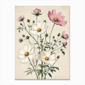 Cosmos 1 Canvas Print