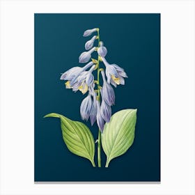 Vintage Blue Daylily Botanical Art on Teal Blue n.0462 Canvas Print