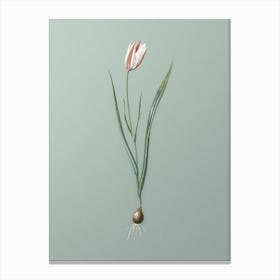 Vintage Lady Tulip Botanical Art on Mint Green Canvas Print