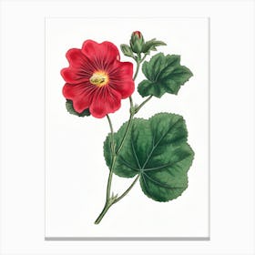 Seringapatam A Hollyhock (Alcea Rosea) Canvas Print