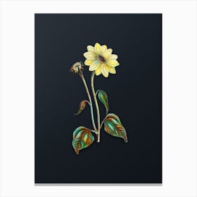 Vintage Trumpet Stalked Sunflower Botanical Watercolor Illustration on Dark Teal Blue Canvas Print