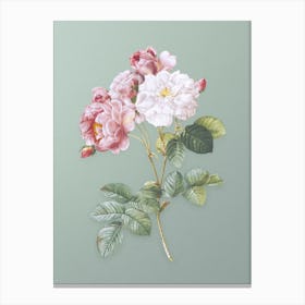 Vintage Pink Damask Rose Botanical Art on Mint Green n.0348 Canvas Print