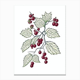 Schisandra Herb William Morris Inspired Line Drawing 2 Canvas Print