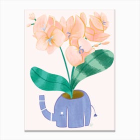Elephant Orchid Canvas Print