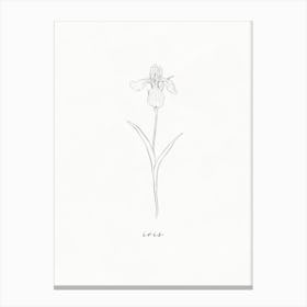 Iris Line Drawing Canvas Print