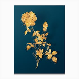 Vintage Pink Autumn China Rose Botanical in Gold on Teal Blue Canvas Print