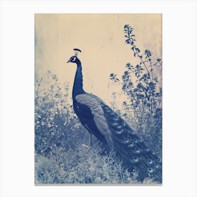 Vintage Photo Inspired Peacock In The Wild 2 Canvas Print