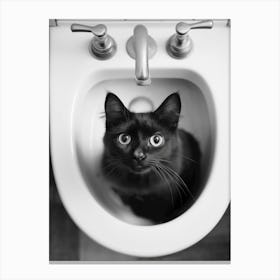 Black Cat In A Sink Canvas Print