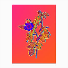 Neon Big Flowered Dog Rose Botanical in Hot Pink and Electric Blue n.0562 Canvas Print