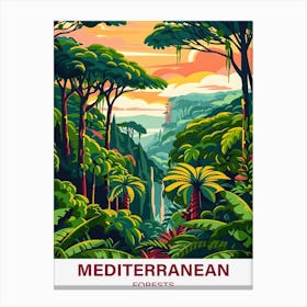 Mediterranean Forest Canvas Print