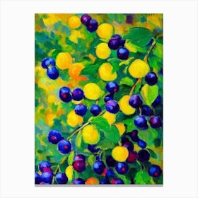 Blackcurrant Fruit Vibrant Matisse Inspired Painting Fruit Canvas Print