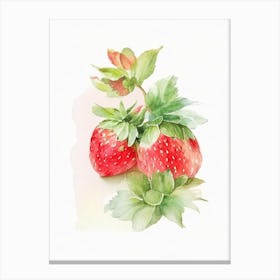 Day Neutral Strawberries, Plant, Watercolour Canvas Print