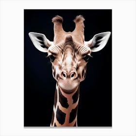 Color Photograph Of Giraffe 1 Canvas Print