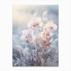 Frosty Botanical Orchid 3 Canvas Print