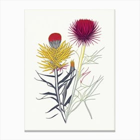 Elecampane Spices And Herbs Minimal Line Drawing 3 Canvas Print