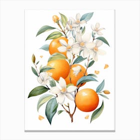 Orange Blossoms 4 Canvas Print