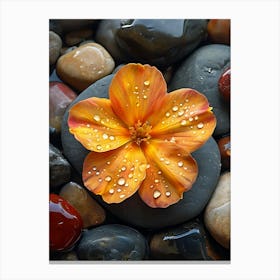 Flower On Rocks Canvas Print