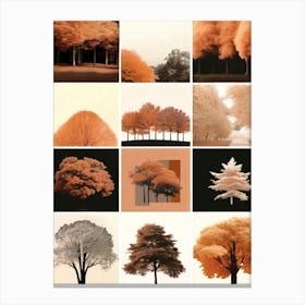 Autumn Collage, Autumn Collection 1 Canvas Print