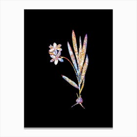Stained Glass Gladiolus Plicatus Mosaic Botanical Illustration on Black n.0162 Canvas Print