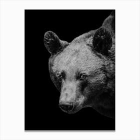 Black Bear Canvas Print