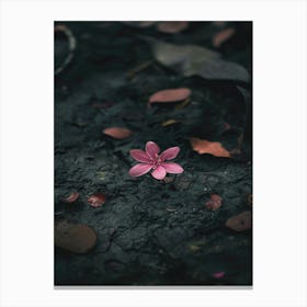 Pink Flower On The Ground Canvas Print