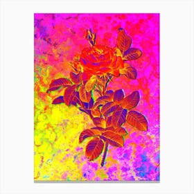 Red Gallic Rose Botanical in Acid Neon Pink Green and Blue n.0126 Canvas Print