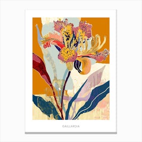 Colourful Flower Illustration Poster Gaillardia 3 Canvas Print