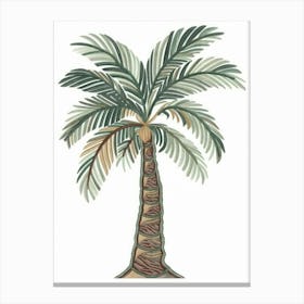 Palm Tree 38 Canvas Print