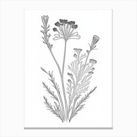 Costmary Herb William Morris Inspired Line Drawing 3 Canvas Print