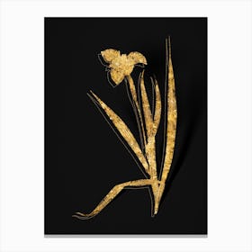 Vintage Tiger Flower Botanical in Gold on Black Canvas Print