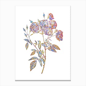 Stained Glass Ternaux Rose Bloom Mosaic Botanical Illustration on White Canvas Print