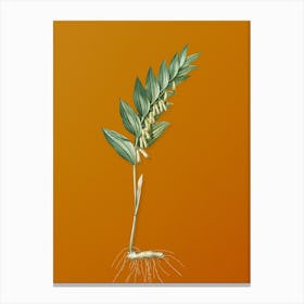 Vintage Angular Solomon's Seal Botanical on Sunset Orange n.0146 Canvas Print