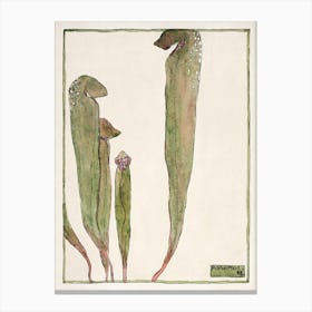 Pitcher Plant (1915), Hannah Borger Overbeck Canvas Print