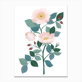 Wild Rose Flower Botanical Painting Canvas Print