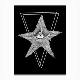 Black Star Canvas Print