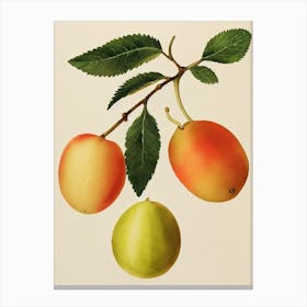 Gooseberry Watercolour Fruit Painting Fruit Canvas Print