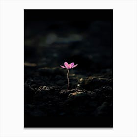 Single Pink Flower 8 Canvas Print