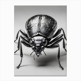 Beetle Canvas Print